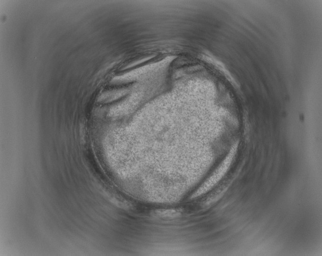 X0000076390161200610271602