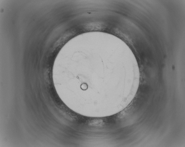 X0000076390162200610271602