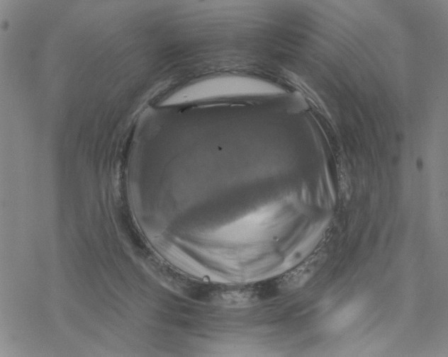 X0000076390163200610271602