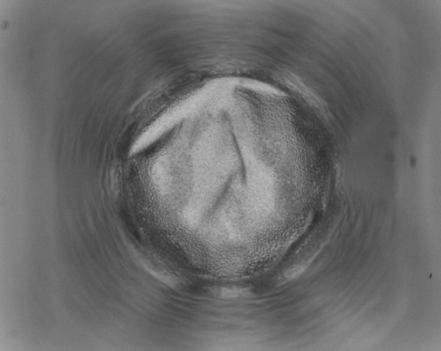 X0000076390165200610271602