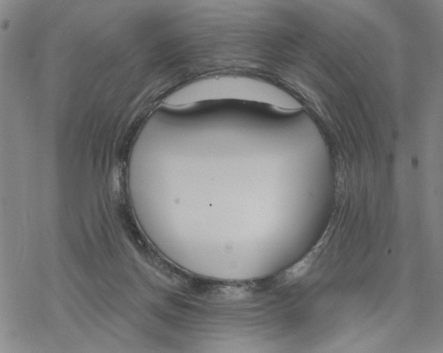 X0000076390166200610271602