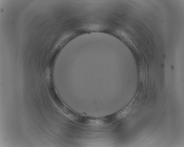 X0000076390167200610271602