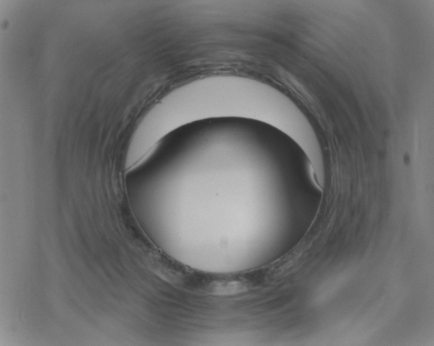 X0000076390169200610271602