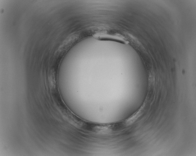 X0000076390170200610271602