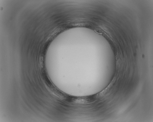 X0000076390171200610271602