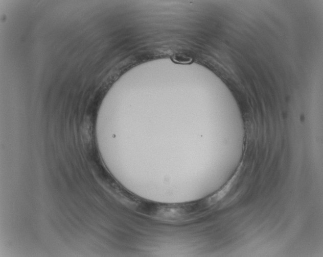 X0000076390174200610271602