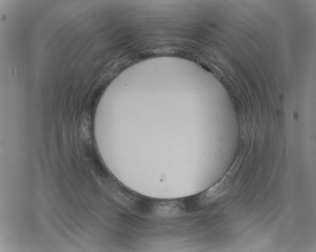 X0000076390175200610271602