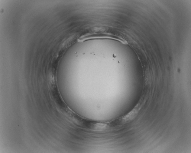 X0000076390176200610271602