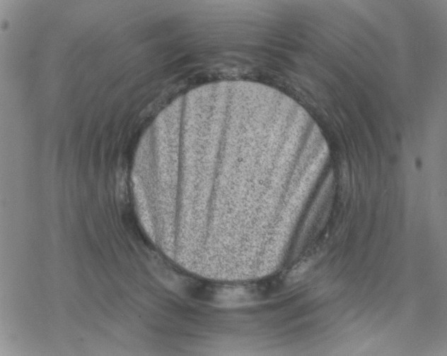 X0000076390177200610271602