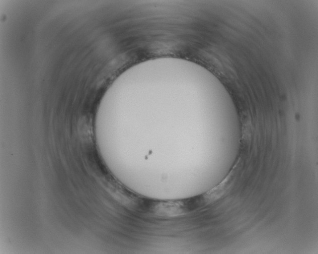 X0000076390179200610271602