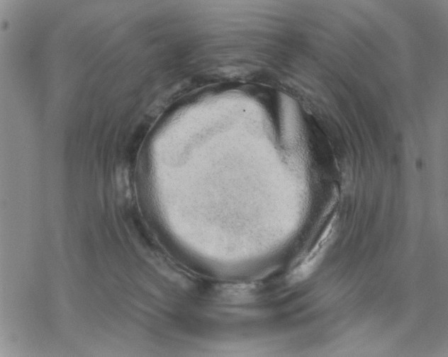 X0000076390182200610271602