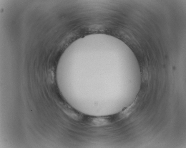 X0000076390183200610271602