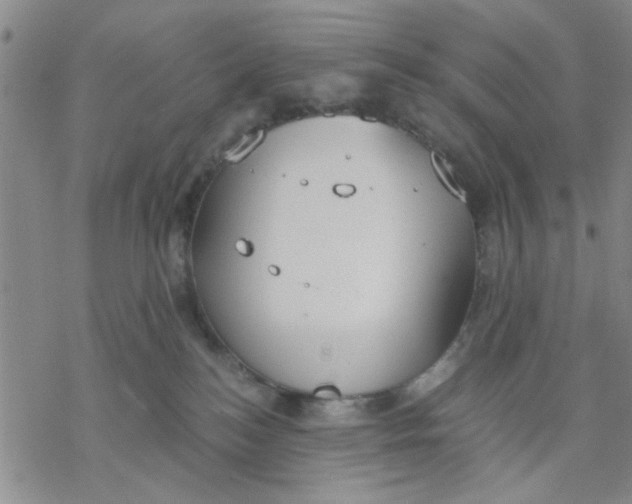 X0000076390184200610271602