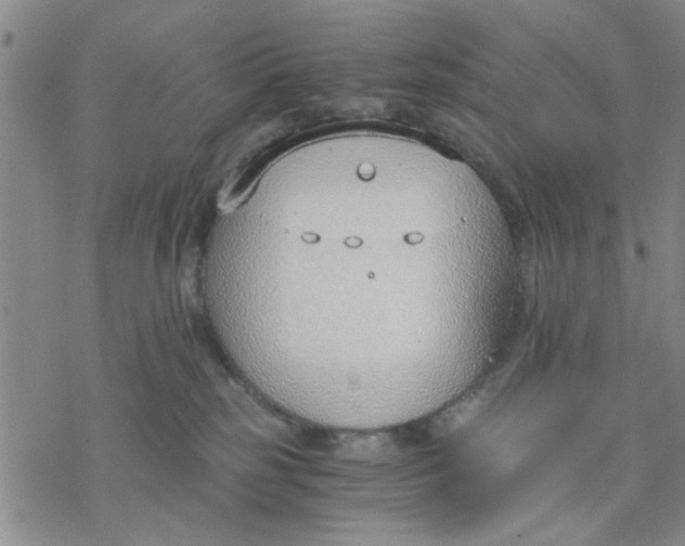 X0000076390185200610271602