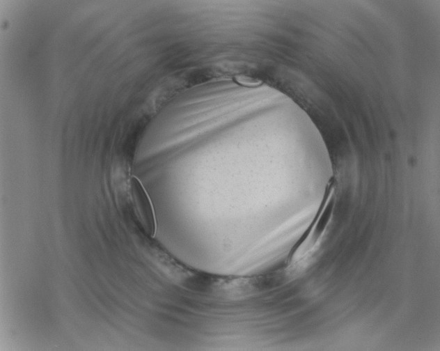 X0000076390186200610271602