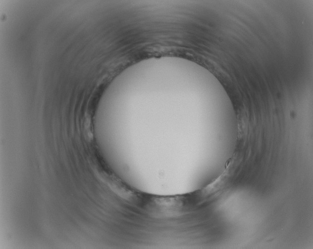 X0000076390187200610271602