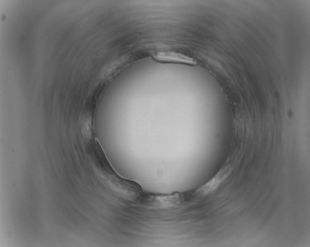 X0000076390188200610271602