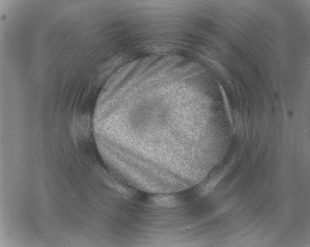 X0000076390189200610271602