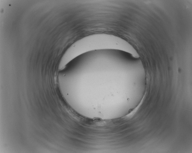 X0000076390190200610271602