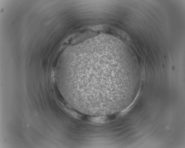 X0000076390191200610271602