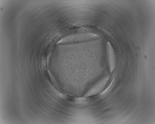 X0000076390192200610271602