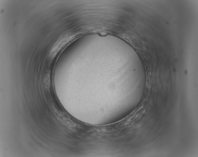 X0000076390194200610271601