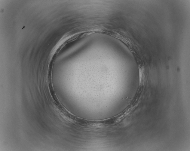 X0000076390195200610271601