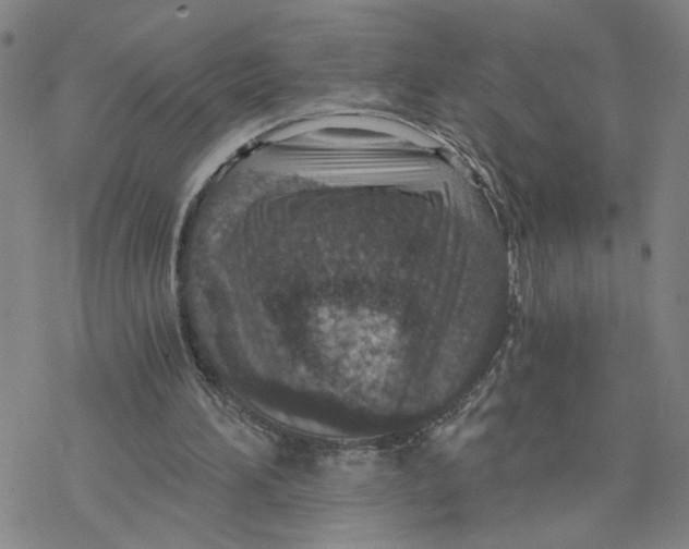 X0000076390196200610271601