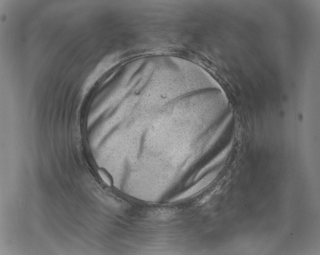 X0000076390198200610271601