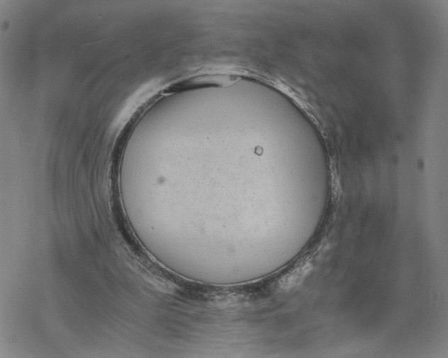 X0000076390199200610271601