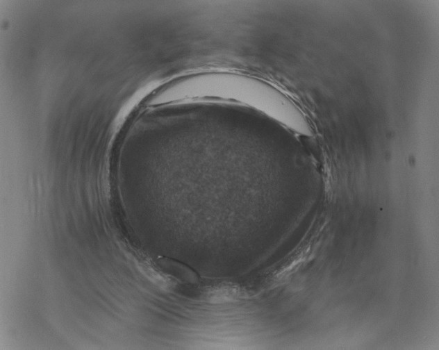 X0000076390200200610271601