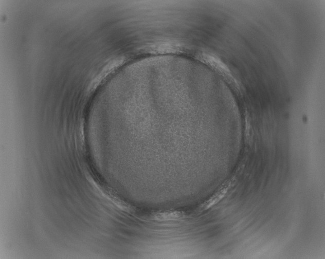 X0000076390202200610271601