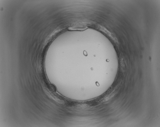 X0000076390203200610271601