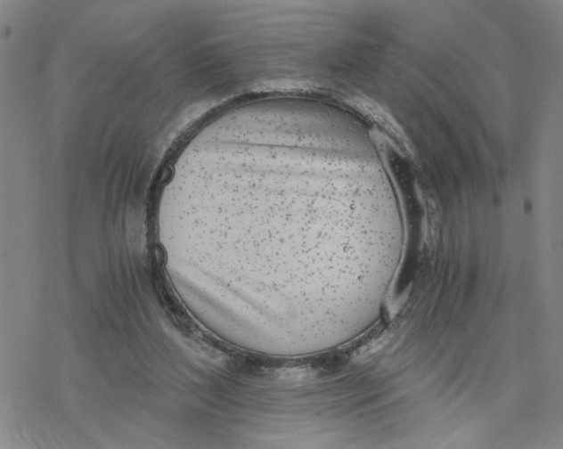 X0000076390204200610271601