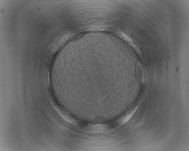 X0000076390205200610271601