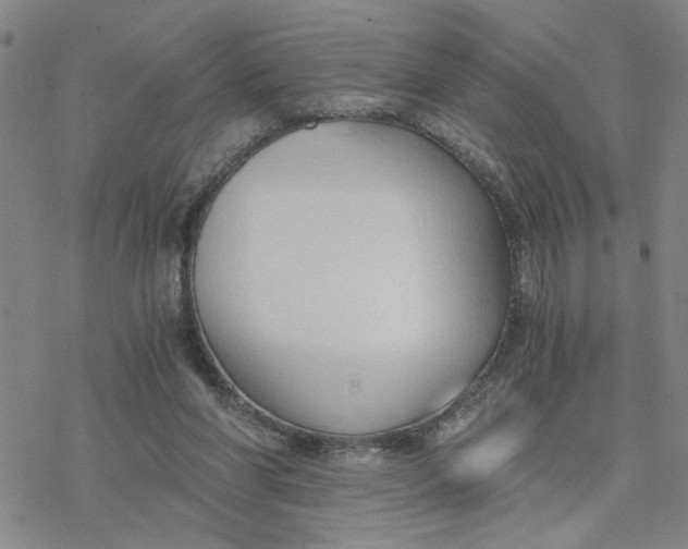 X0000076390206200610271601