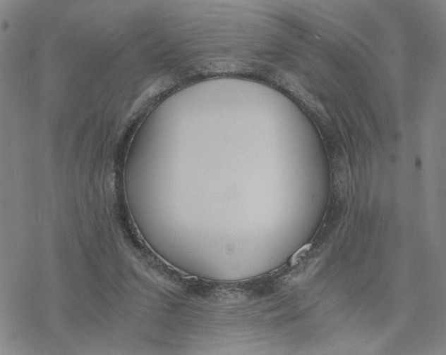 X0000076390207200610271601