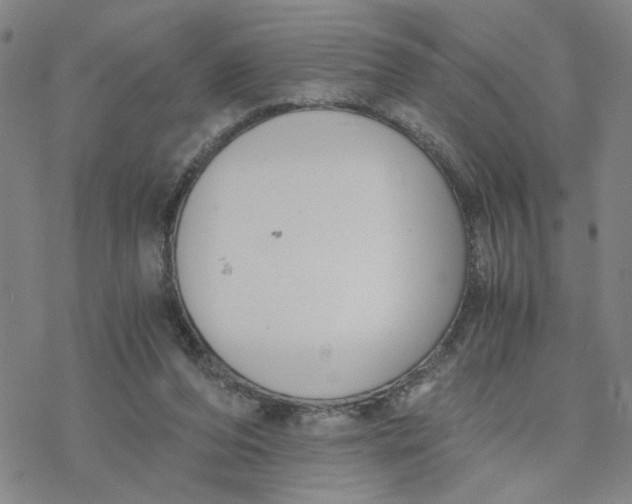 X0000076390208200610271601