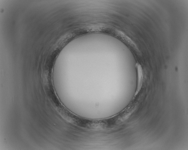 X0000076390209200610271601