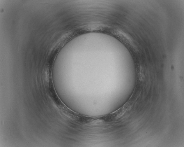 X0000076390210200610271601