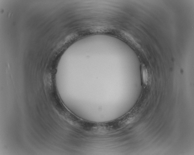 X0000076390211200610271601