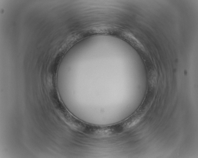 X0000076390213200610271601