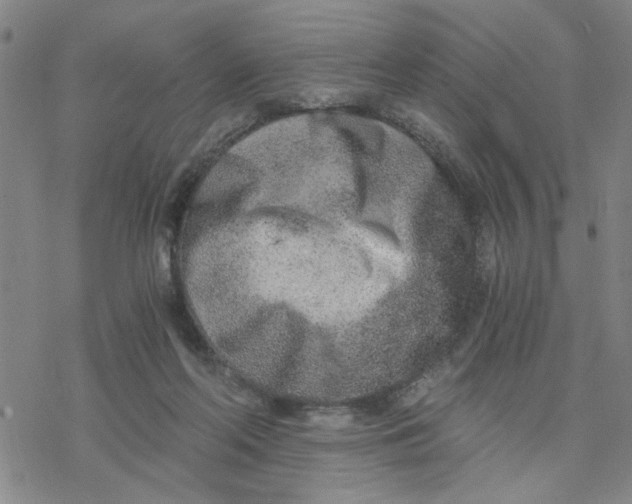 X0000076390214200610271601