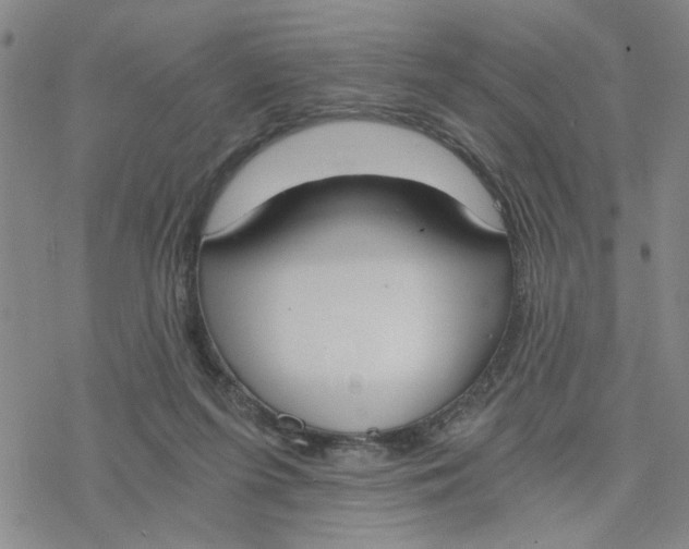 X0000076390215200610271601