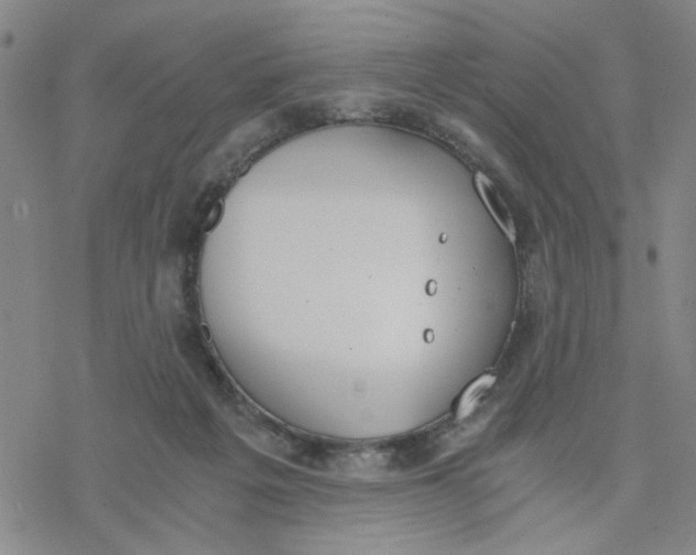 X0000076390217200610271601