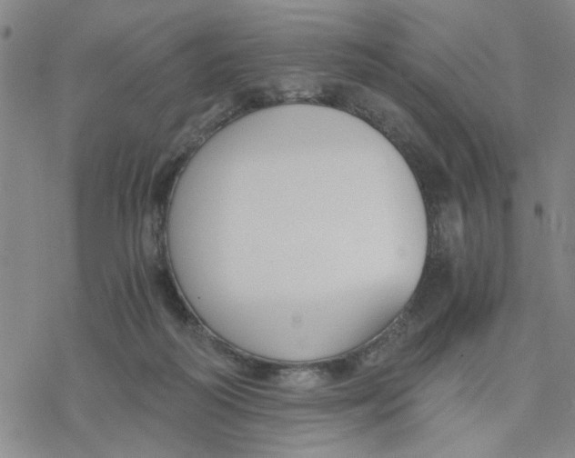 X0000076390218200610271601