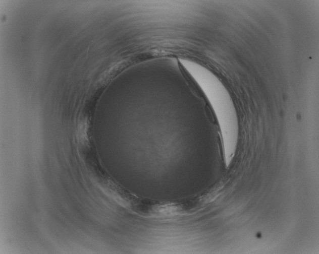 X0000076390219200610271601