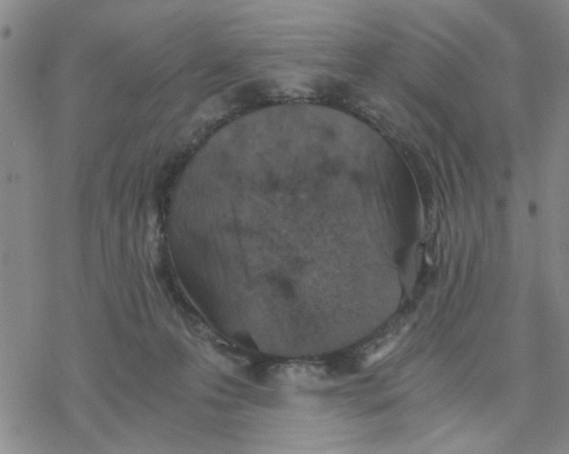 X0000076390223200610271601