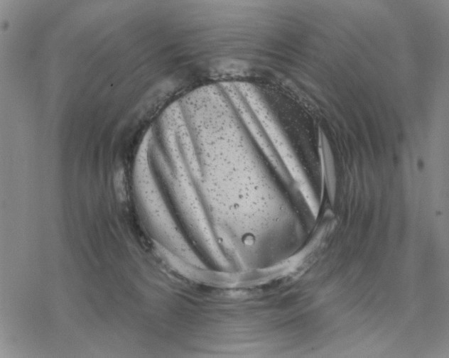 X0000076390224200610271601