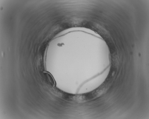 X0000076390225200610271601